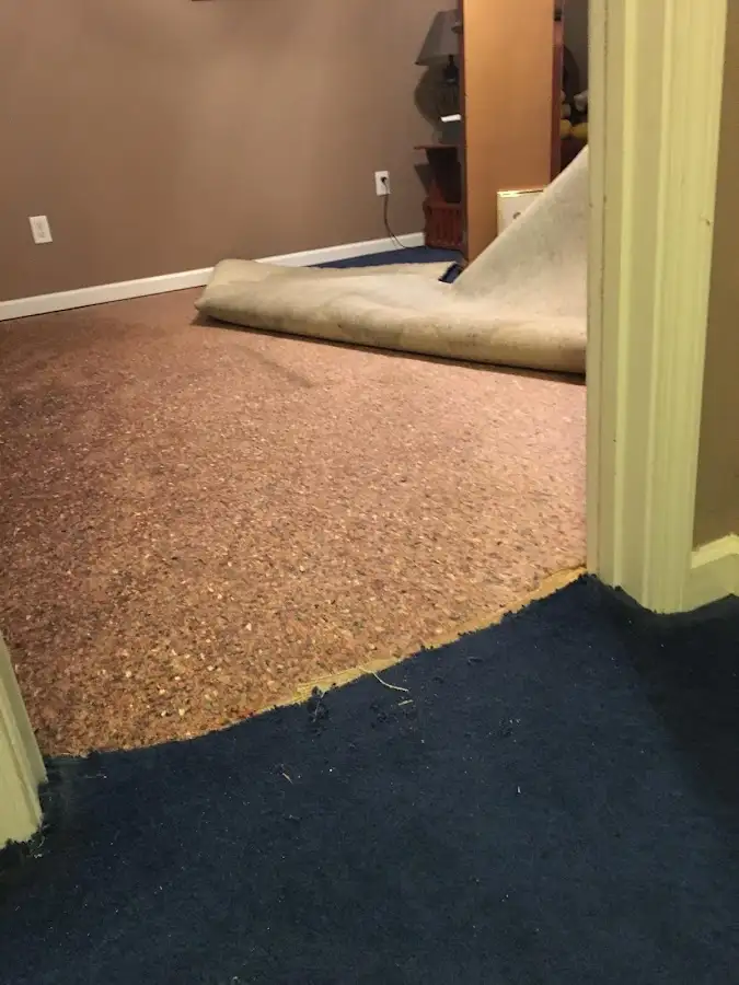 Carpet pad removal revealing water damage during Drying & Dehumidification in Port Wentworth
