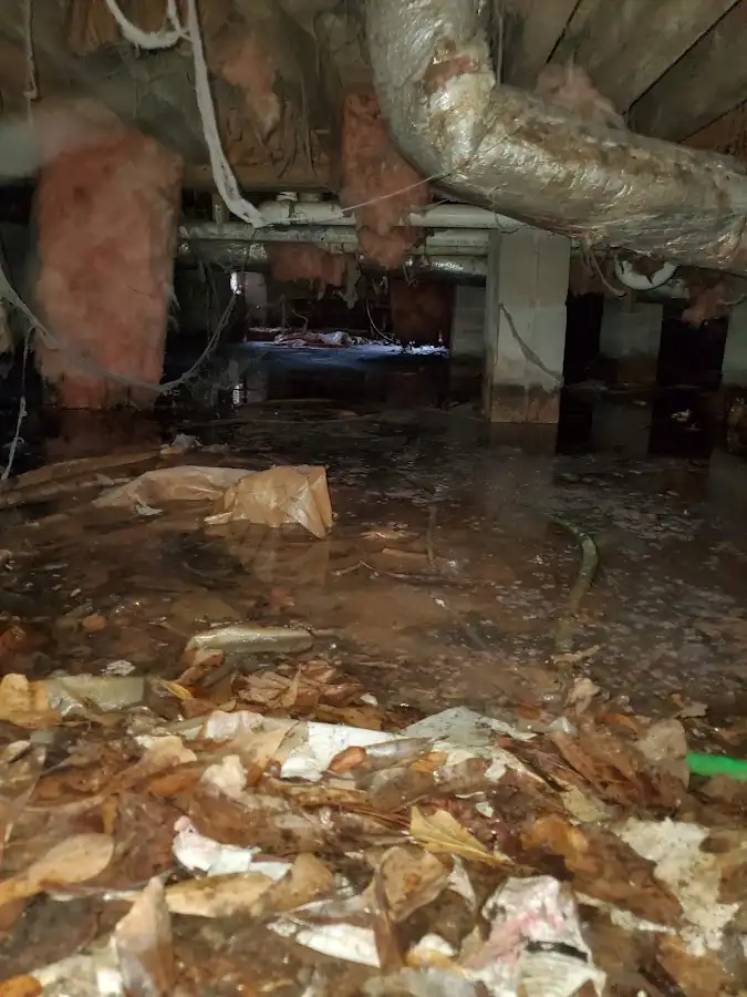Crawl space flood assessment for Leak Detection & Repair in Port Wentworth