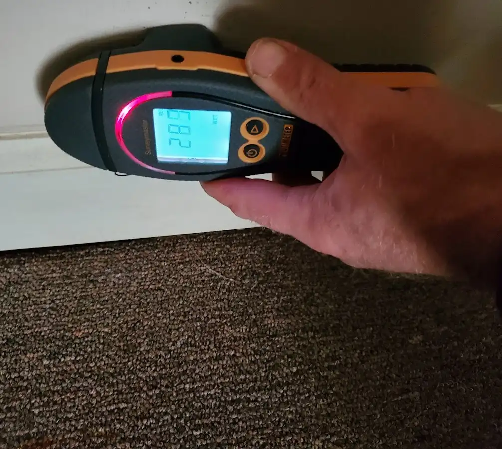 Moisture detection at baseboard during Burst Pipe Cleanup in Port Wentworth